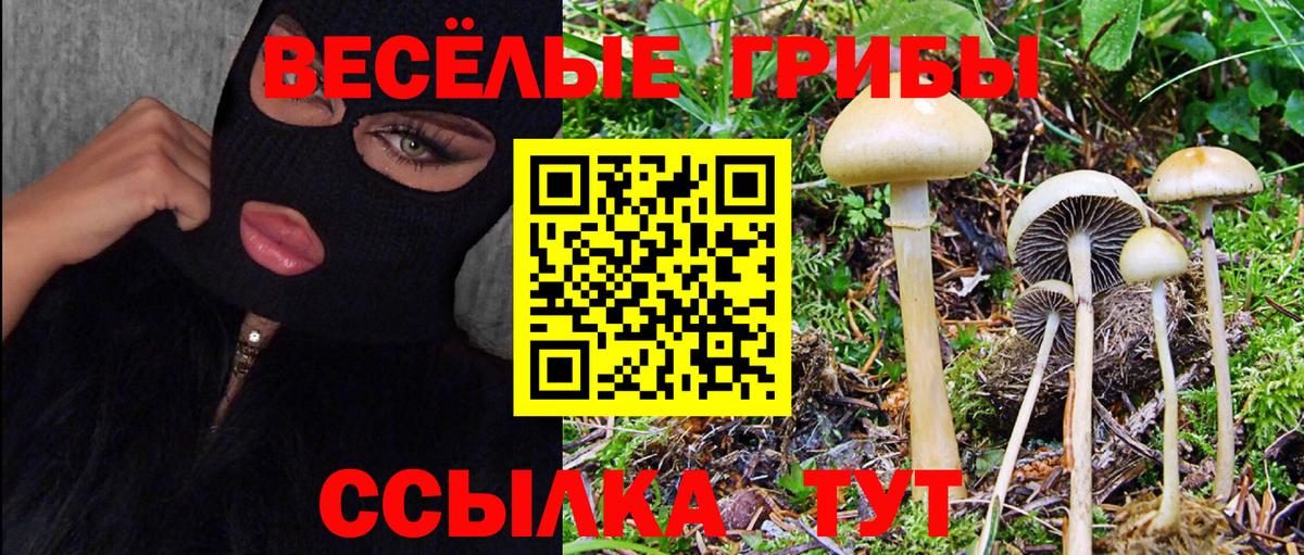 Галлюциногенные грибы MAGIC MUSHROOMS  Галлюциногенные грибы мицелий  Нижнекамск  Вход с VPN 
