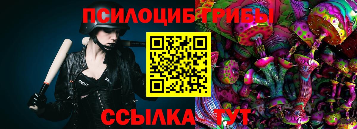 Галлюциногенные грибы Cubensis Нижнекамск